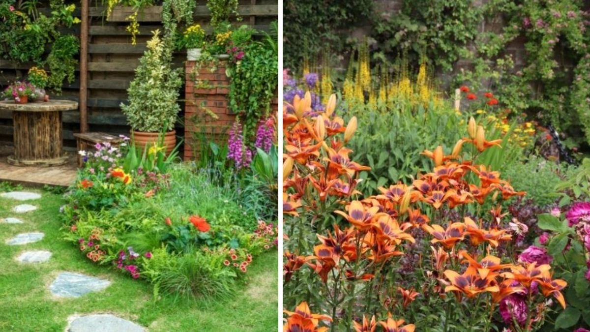 20 Easy-to-Grow Plants Perfect for First-Time Gardeners