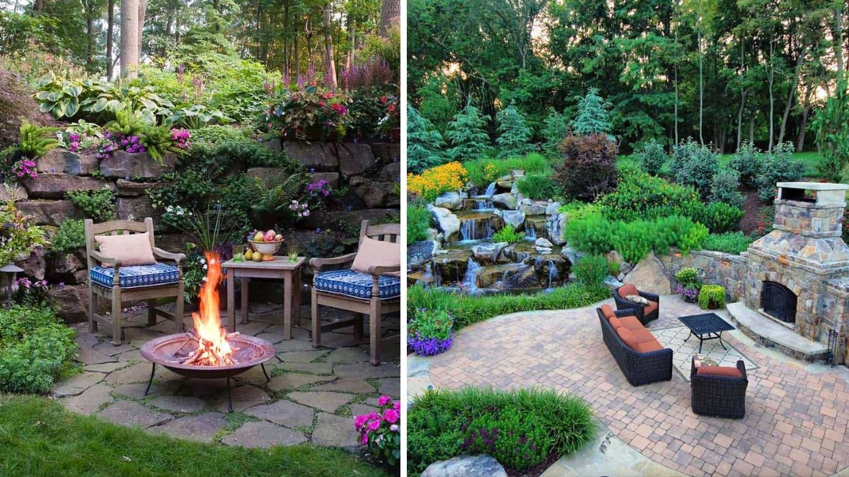 12 Best Ground Cover Ideas for Your Backyard That Transform Any Space