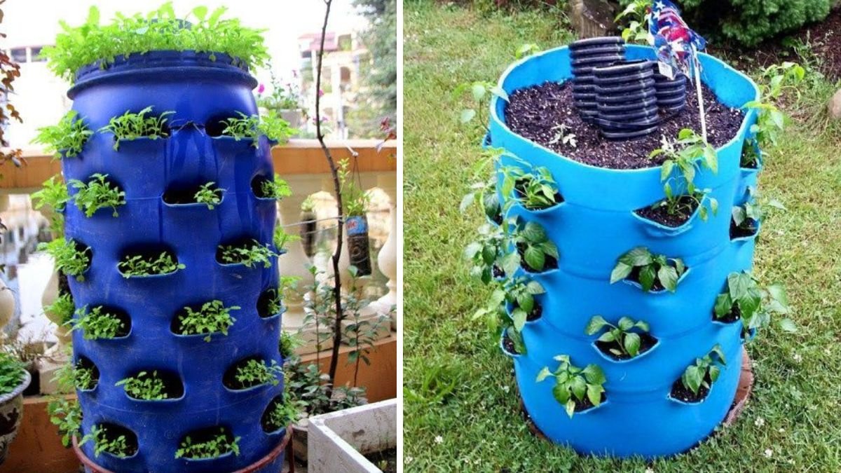 Amazing Idea: Recycling Plastic Drums into Vegetable Towers