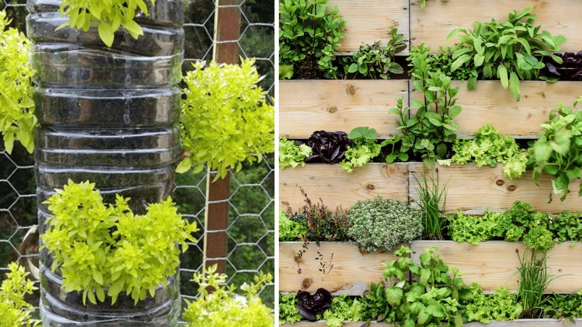 Wonderful Vertical Vegetable Garden Outside Balcony: 2026 Guide