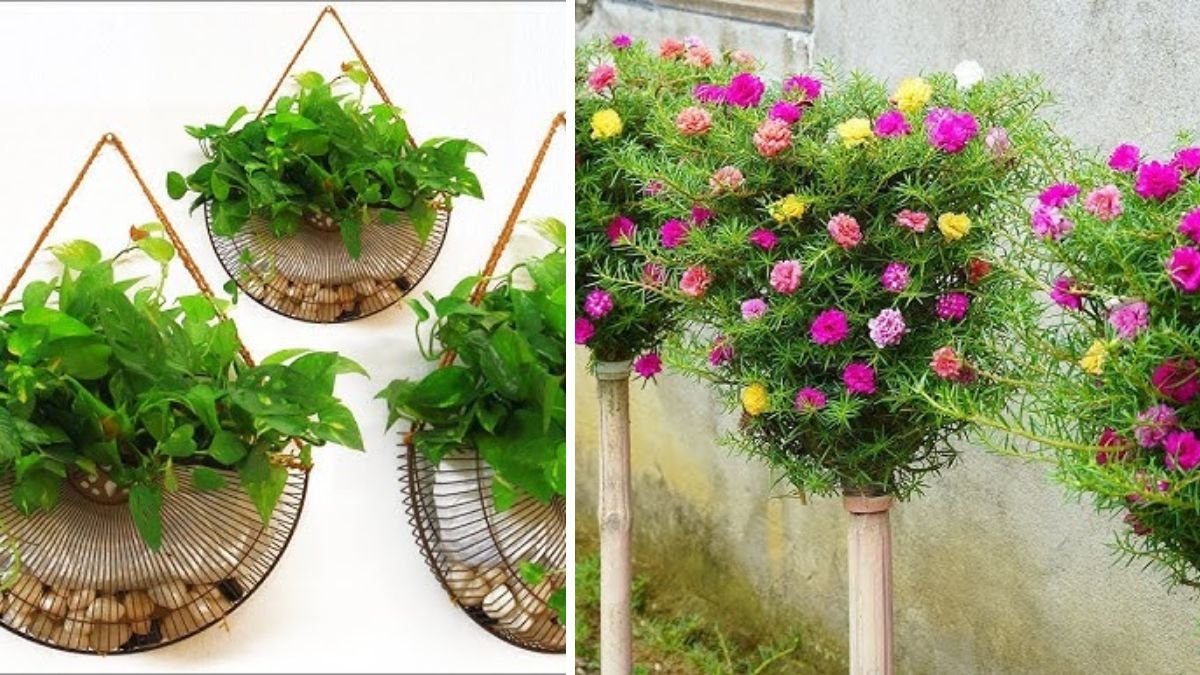 Brilliant Idea: Recycling Fan Cages into Smart Vertical Garden for Small Spaces