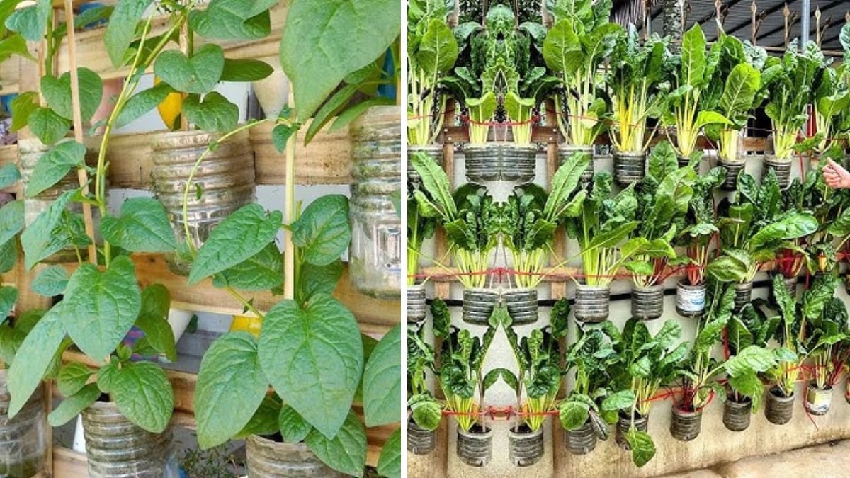 Grow Vegetables All Year With Plastic Bottles: Easy DIY Sustainable Kitchen Garden