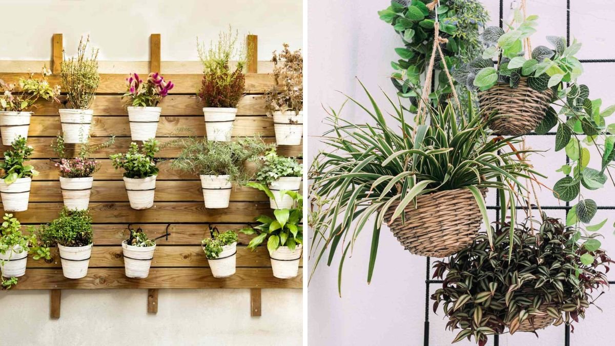 Dream Hanging Garden at Home: Convenient, Economical & Stunning DIY Ideas