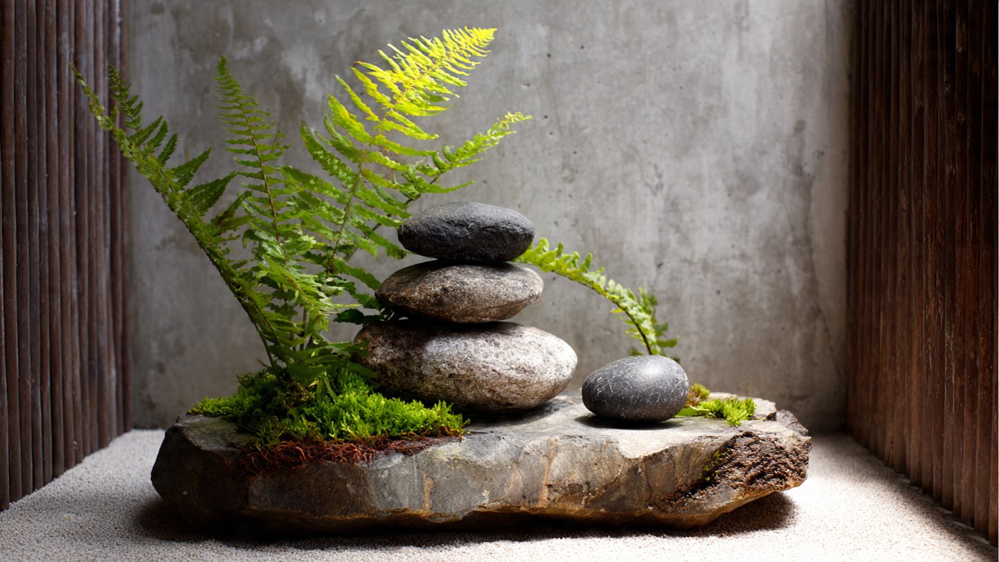 How Can You Transform Your Space into a Zen Meditation Corner with Just Rocks and Ferns?